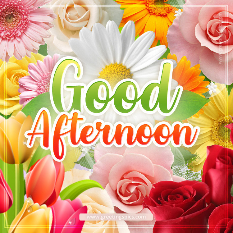 Good Afternoon image with bright colorful flowers (square shape image)