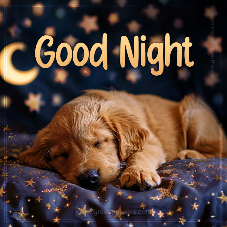 Good Night picture with a cute puppy (square shape image)