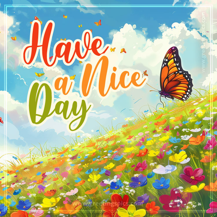 Have a Nice Day bright picture with a beautiful butterfly over a field of flowers (square shape image)