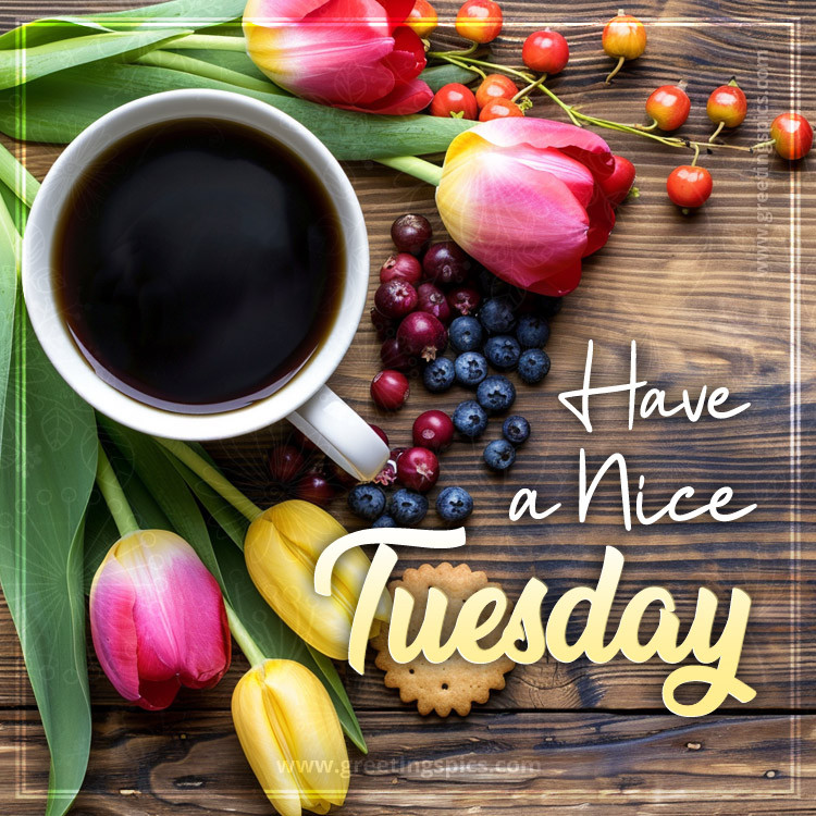 Have a Nice Tuesday image with a cup of coffee and beautiful tulips (square shape image)