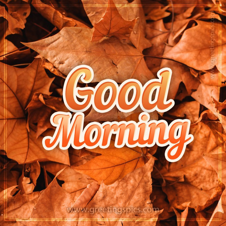 Good Morning Fall Picture (square shape image)