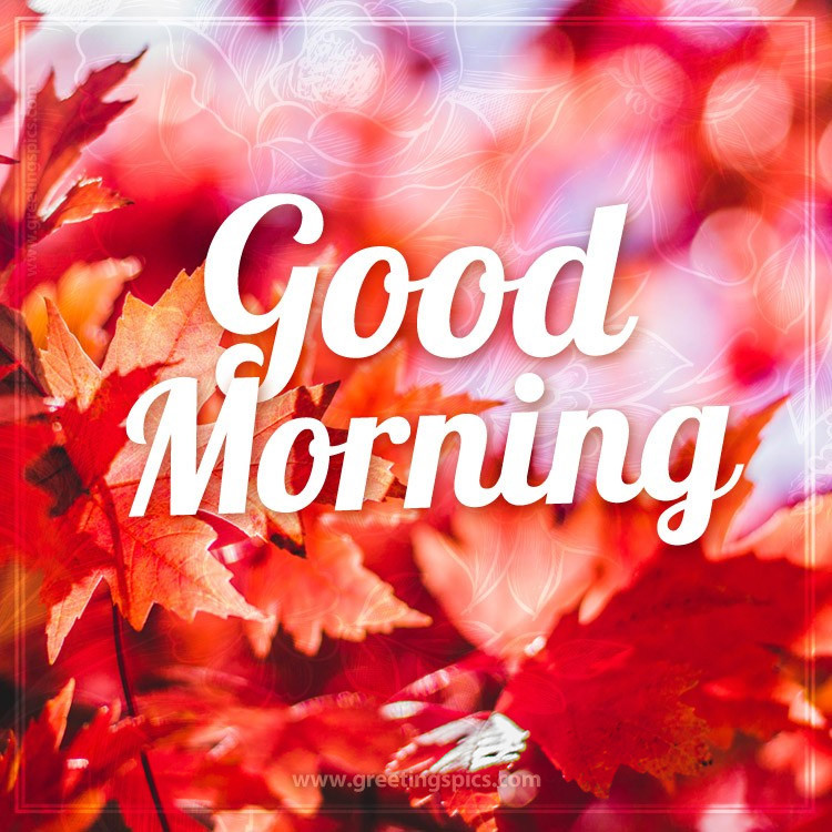 Good Morning picture with an inscription on the background of bright autumn leaves (square shape image)