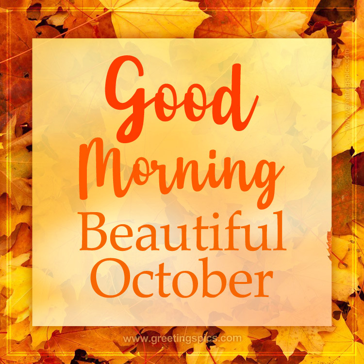 Good Moring Beautiful October Picture with autumn leaves (square shape image)