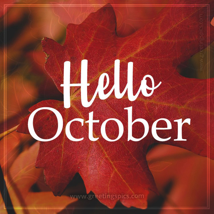 Hello October image with maple leaf (square shape image)