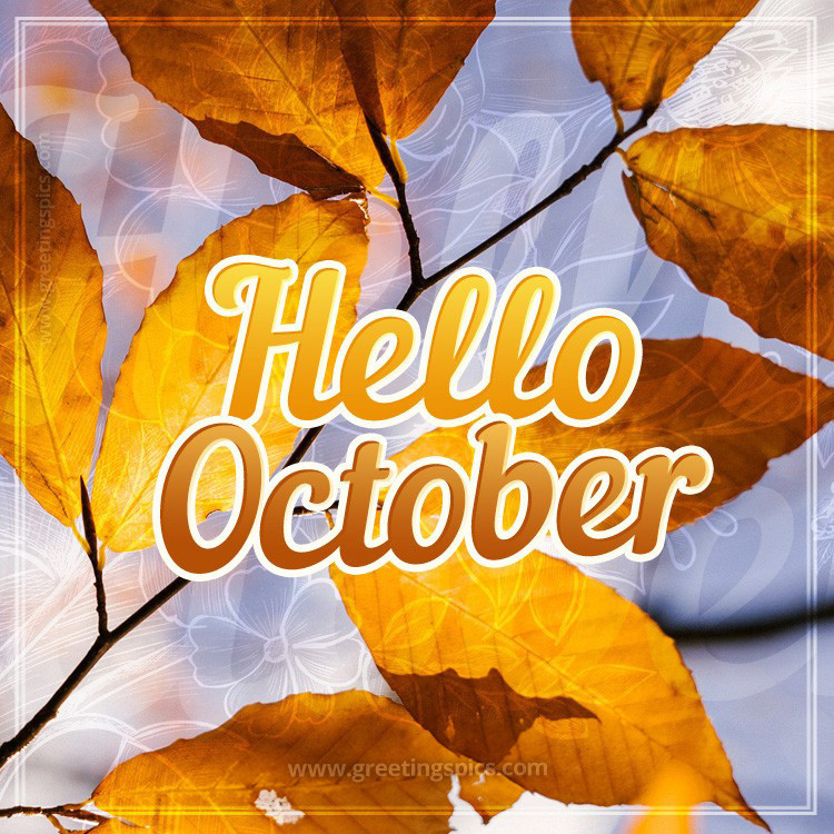 Hello October image with an inscription on the background of an autumn tree (square shape image)