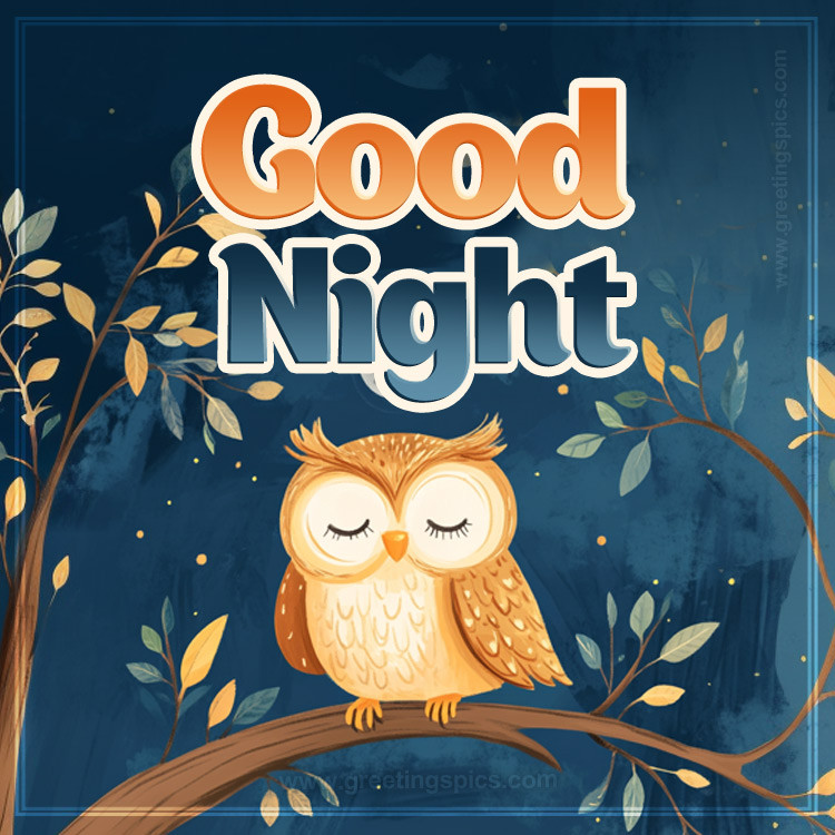 Good Night a picture of a cute owl sleeping on a tree branch (square shape image)