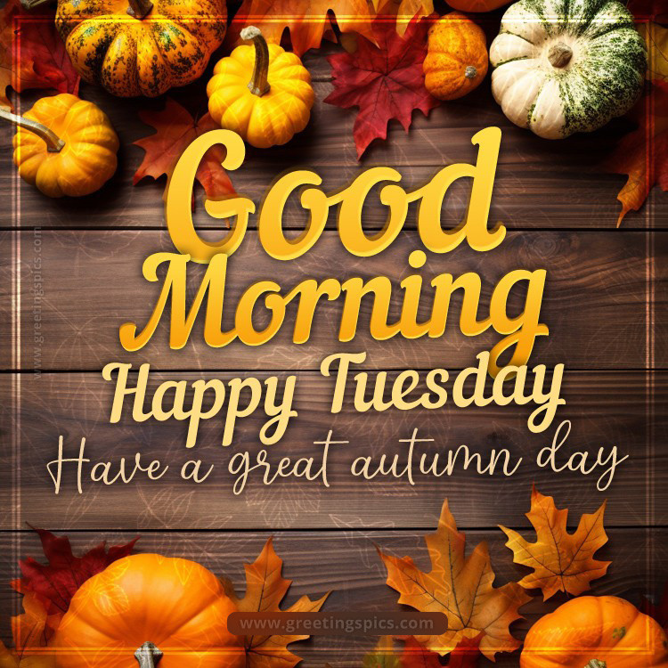 Good Morning Happy Tuesday Autumn image with pumpkins and fall leaves (square shape image)