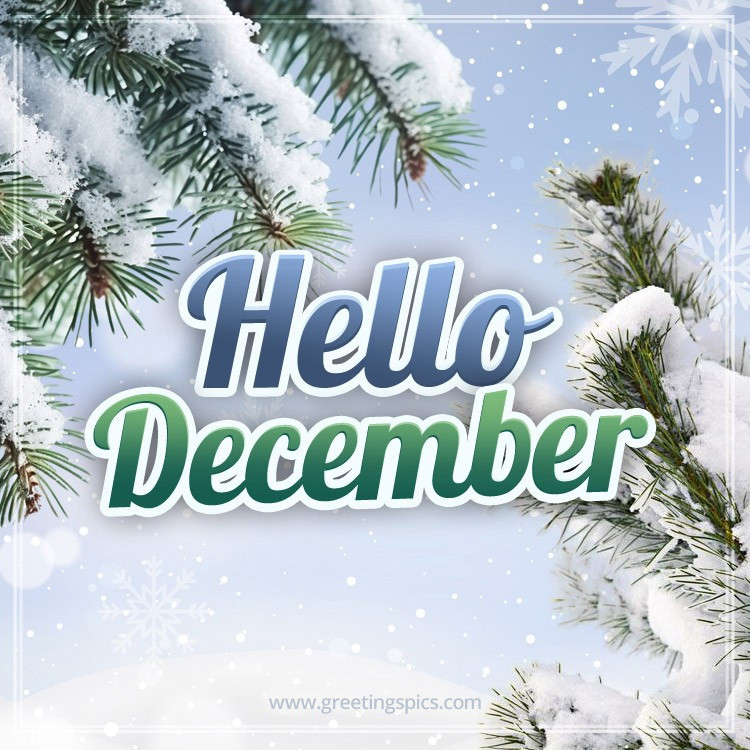 Hello December picture with fir branches (square shape image)