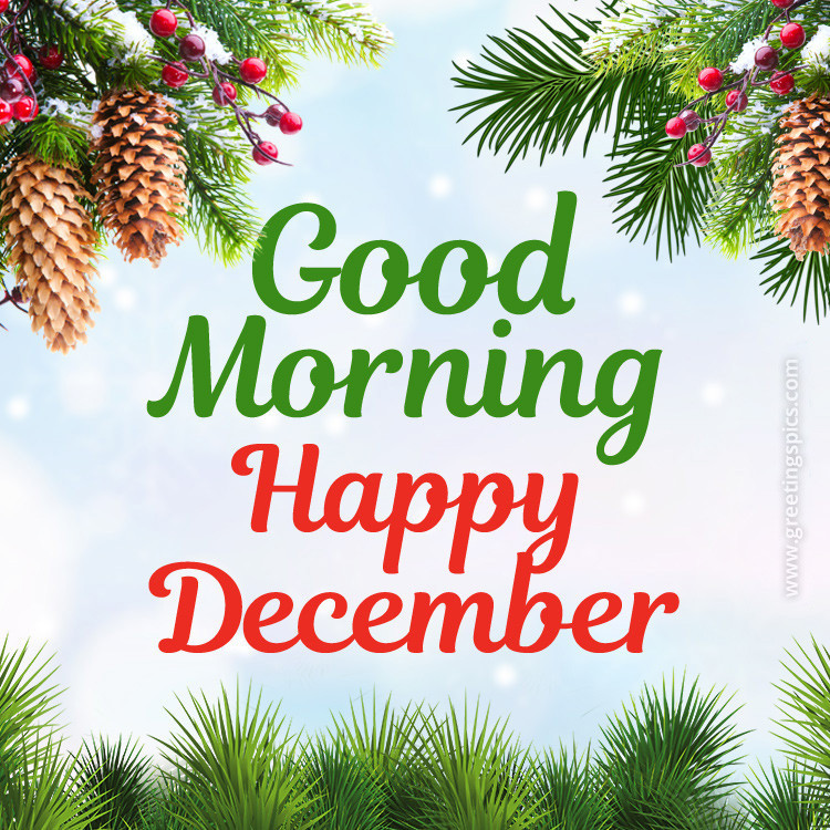 Good Morning Happy December picture with fir branches (square shape image)