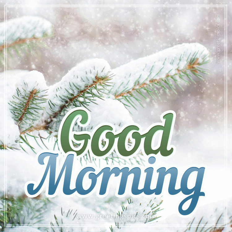 Beautiful winter picture with Good Morning Wishes with a fir branch in the snow (square shape image)