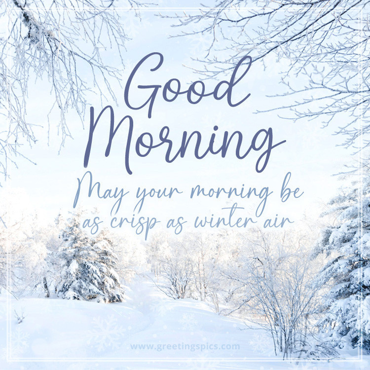 Good Morning picture with wishes against the backdrop of a winter forest (square shape image)