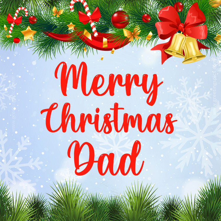 Merry Christmas Dad image with fir branch with colorful decorations (square shape image)