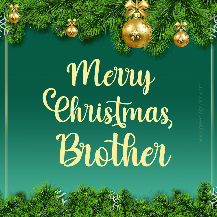 Merry Christmas Brother image with beautiful fir branches (square shape image)