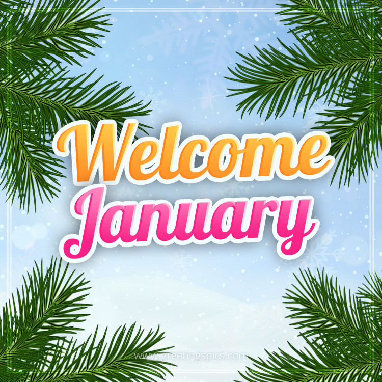 Welcome January image with a colorful inscription and fir branches (square shape image)