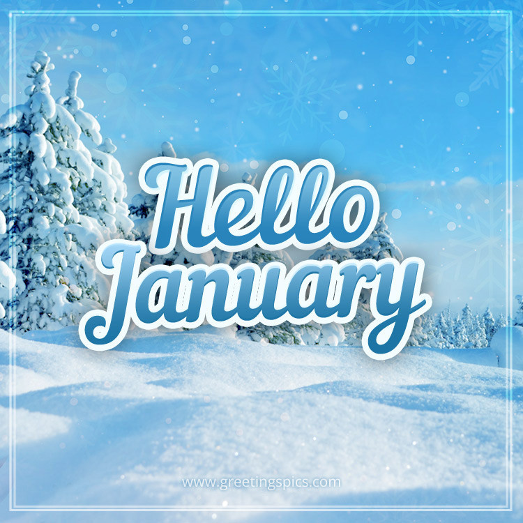 Hello January image with a fabulous winter forest (square shape image)