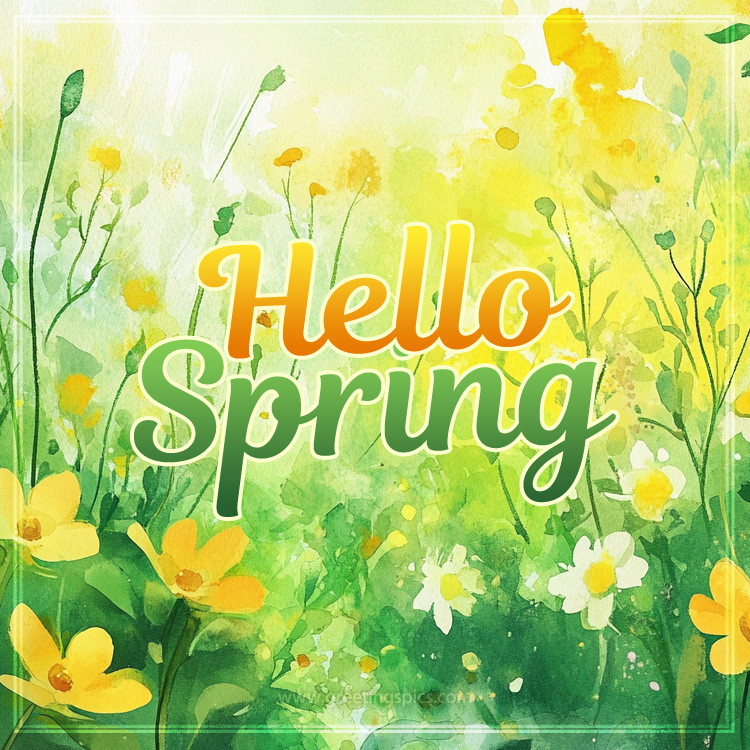 Hello Spring image with beautiful watercolor flowers (square shape image)