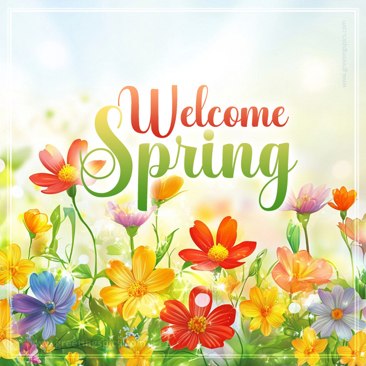 Welcome Spring image with colorful wildflowers (square shape image)