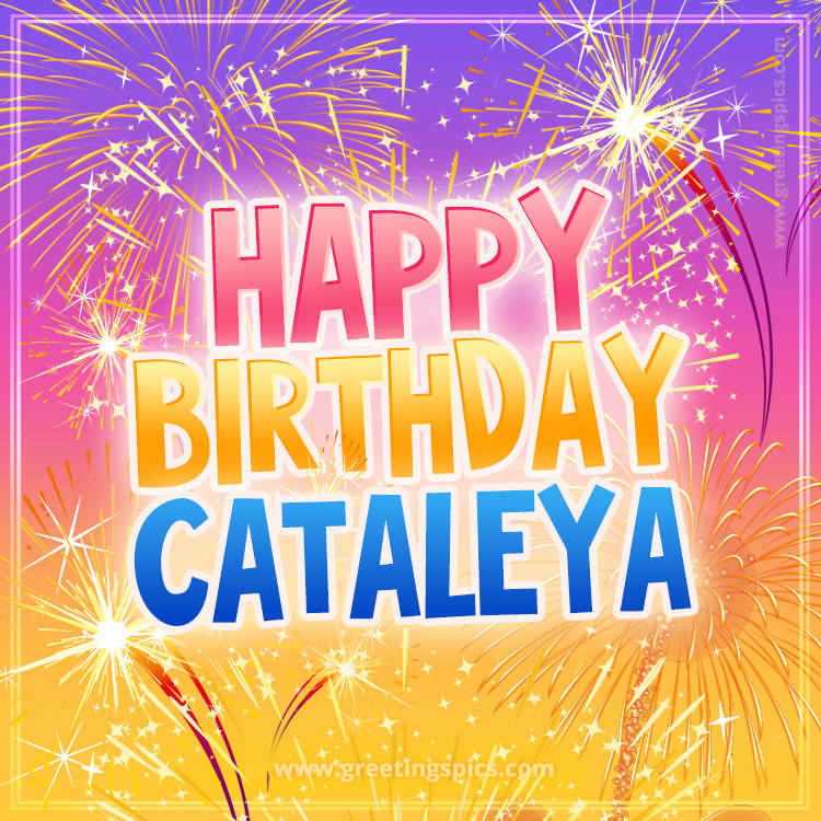 Happy Birthday Cataleya Picture with fireworks (square shape image)