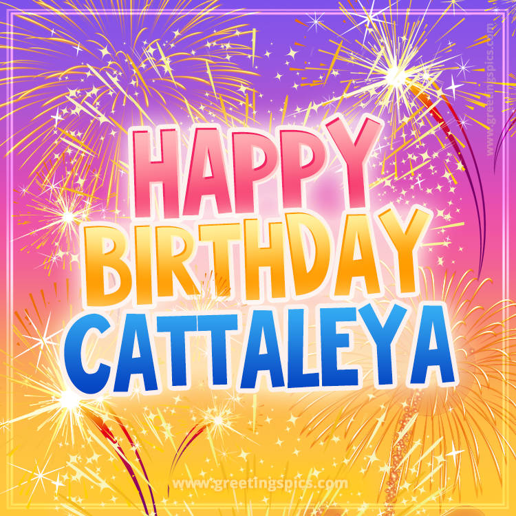 Happy Birthday Cattaleya Picture with fireworks (square shape image)