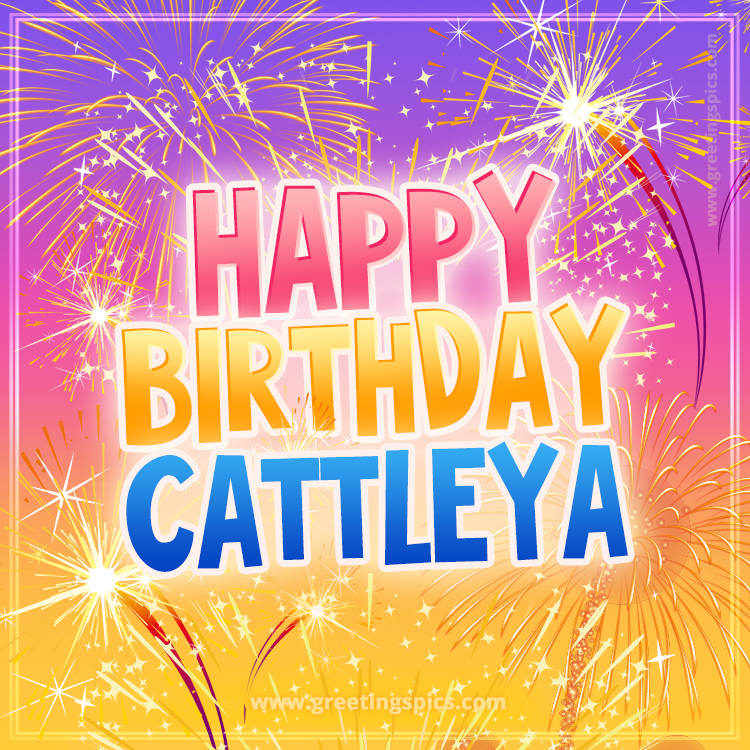 Happy Birthday Cattleya Picture with fireworks (square shape image)