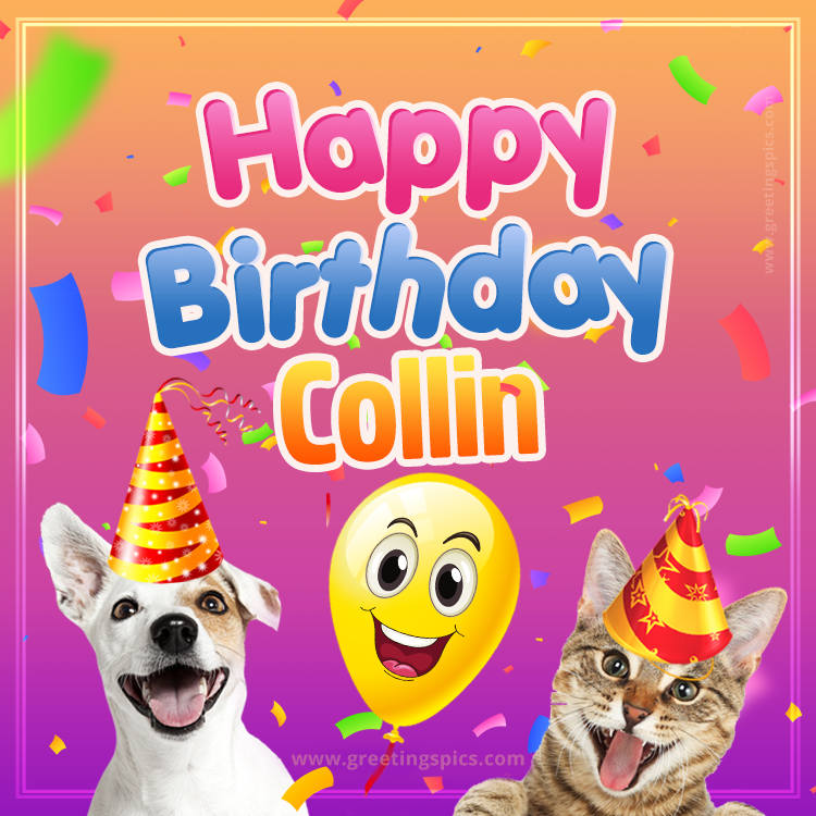 Happy Birthday Collin Funny Image with cat and dog (square shape image)