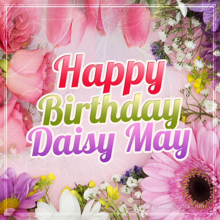 Happy Birthday Daisy May Picture with beautiful flowers (square shape image)