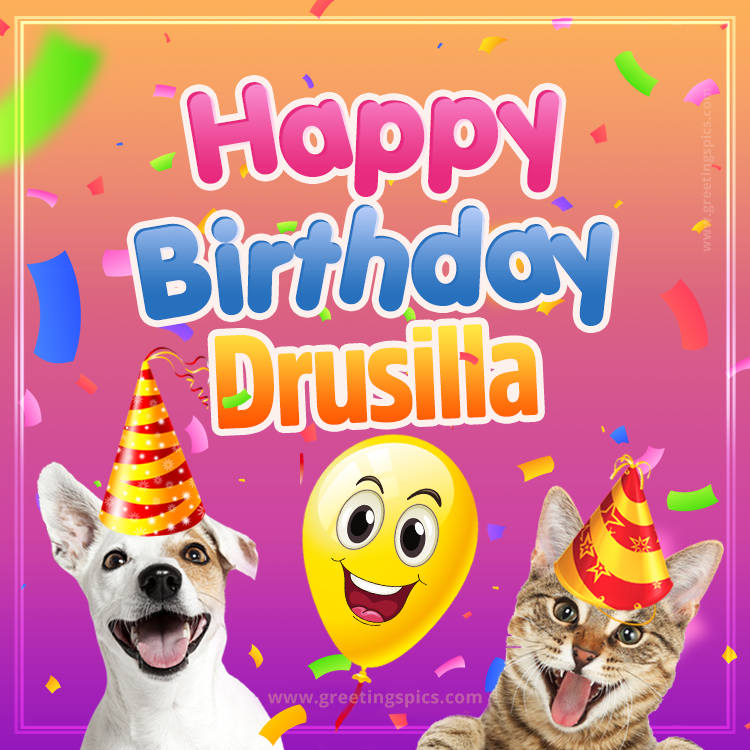 Happy Birthday Drusilla Funny Image with cat and dog (square shape image)