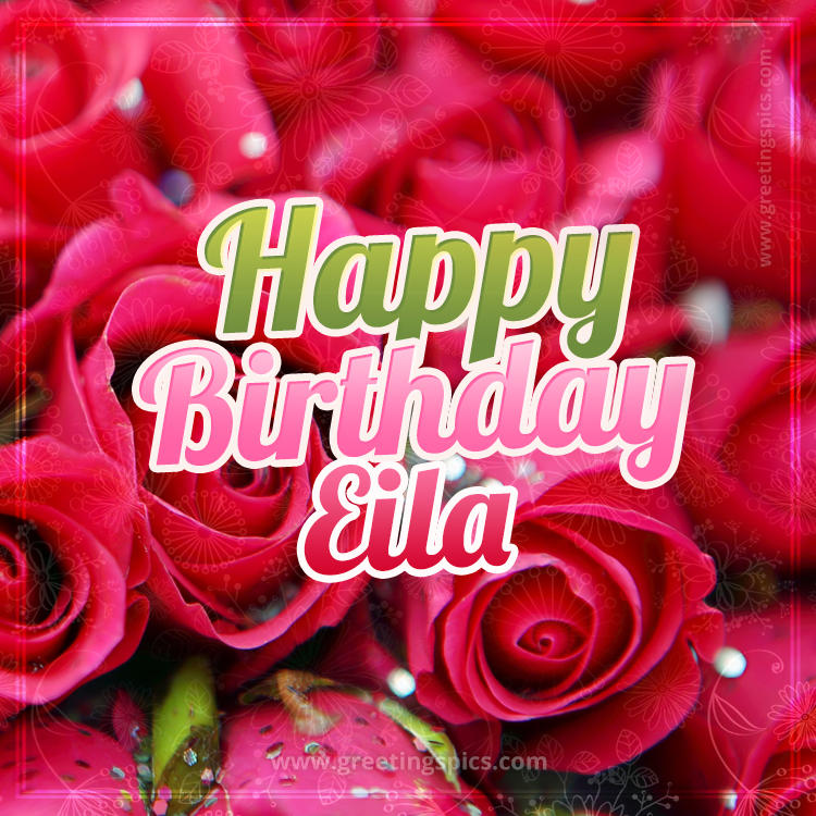 Happy Birthday Eila beautiful Image with red roses (square shape image)