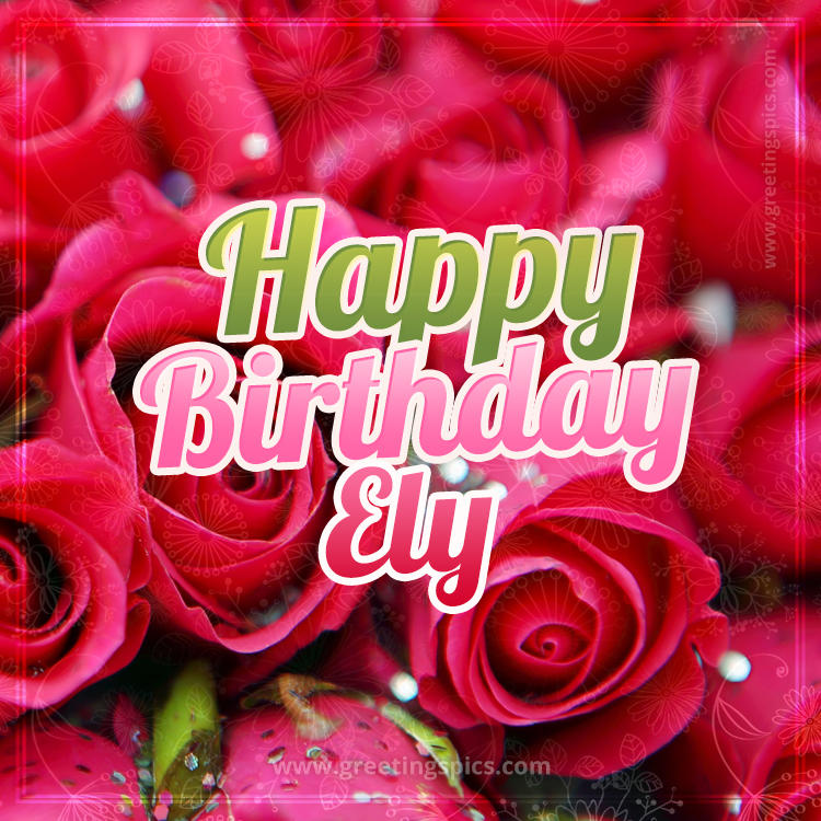 Happy Birthday Ely beautiful Image with red roses (square shape image)