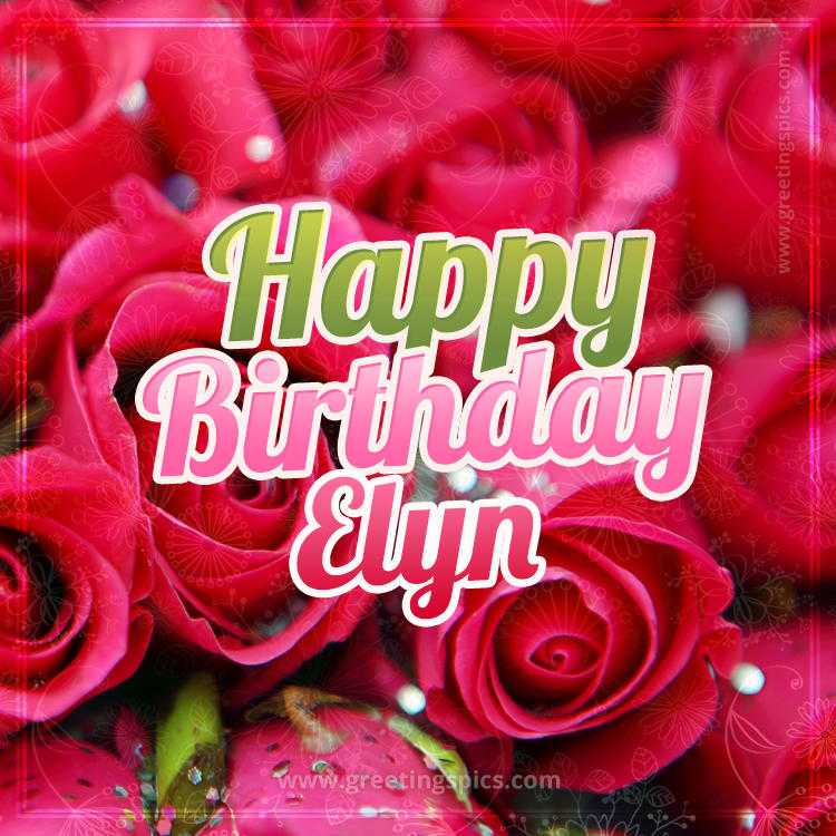 Happy Birthday Elyn beautiful Image with red roses (square shape image)