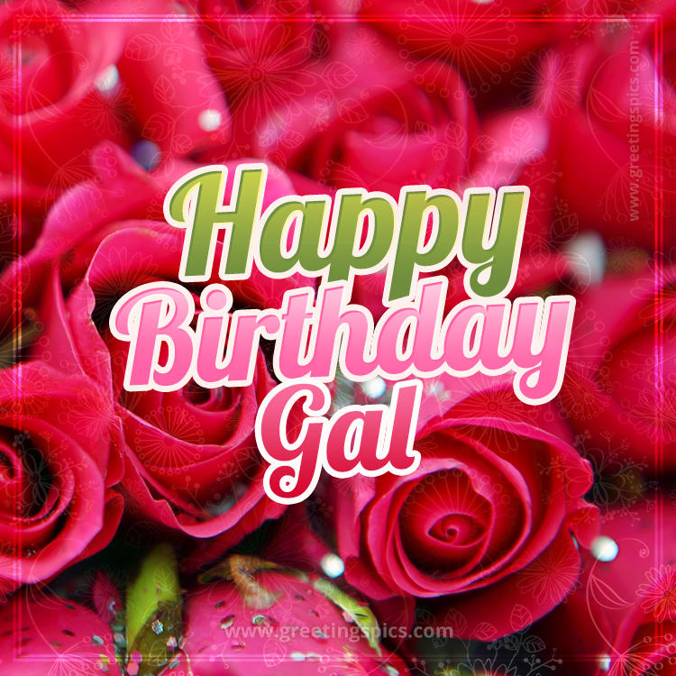 Happy Birthday Gal beautiful Image with red roses (square shape image)