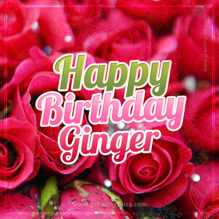 Happy Birthday Ginger beautiful Image with red roses (square shape image)