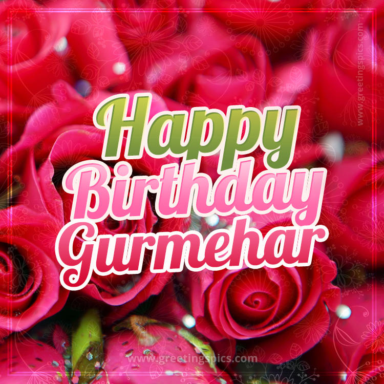 Happy Birthday Gurmehar beautiful Image with red roses (square shape image)