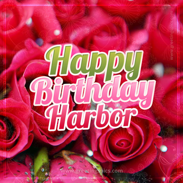 Happy Birthday Harbor beautiful Image with red roses (square shape image)