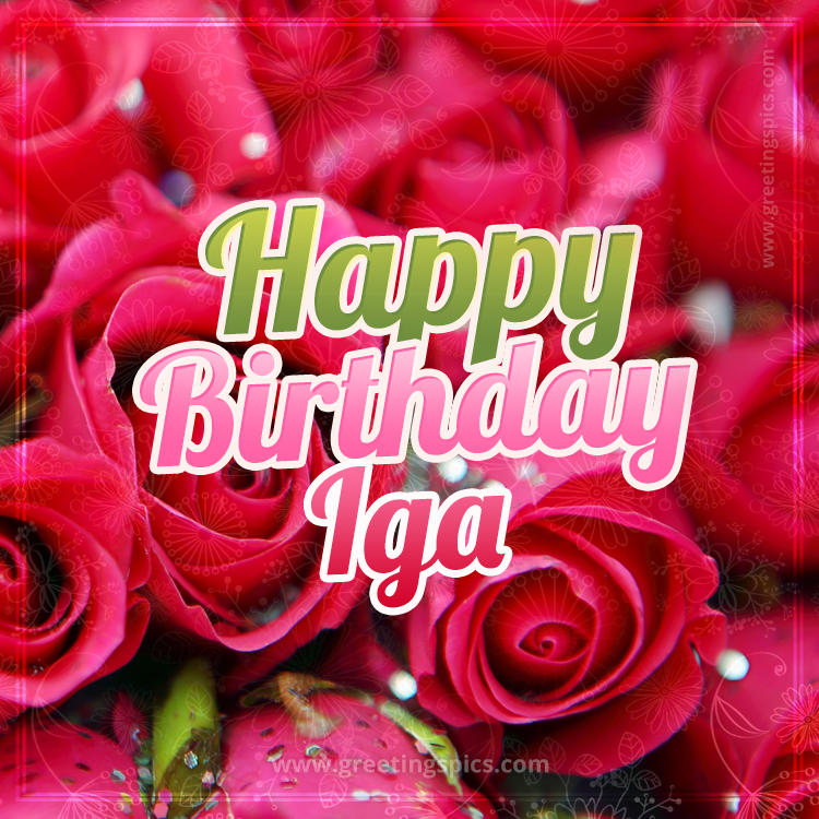 Happy Birthday Iga beautiful Image with red roses (square shape image)