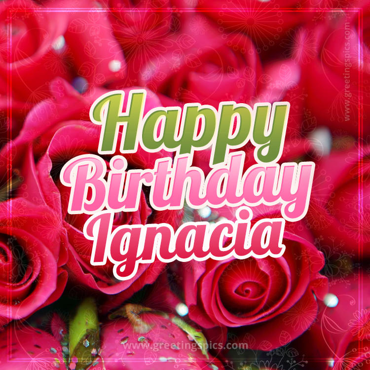 Happy Birthday Ignacia beautiful Image with red roses (square shape image)