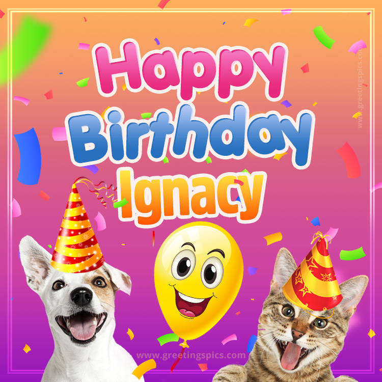 Happy Birthday Ignacy Funny Image with cat and dog (square shape image)