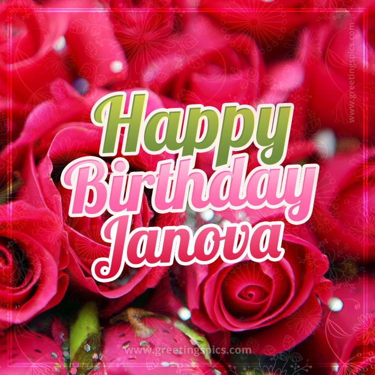 Happy Birthday Janova beautiful Image with red roses (square shape image)