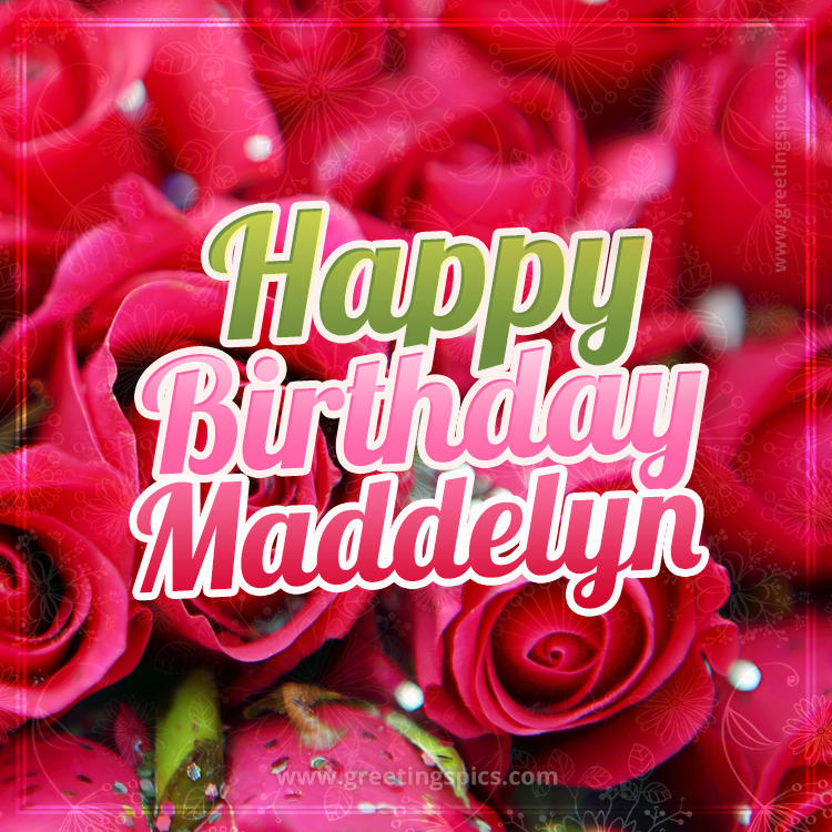 Happy Birthday Maddelyn beautiful Image with red roses (square shape image)