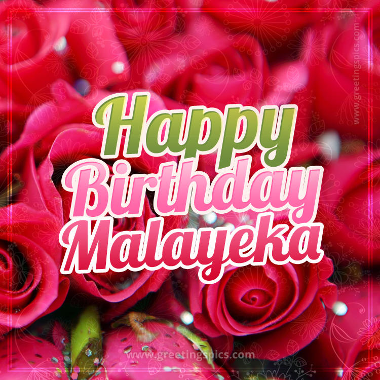 Happy Birthday Malayeka beautiful Image with red roses (square shape image)
