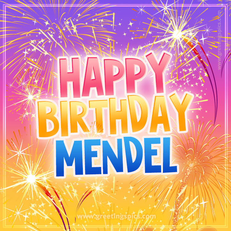 Happy Birthday Mendel Picture with fireworks (square shape image)