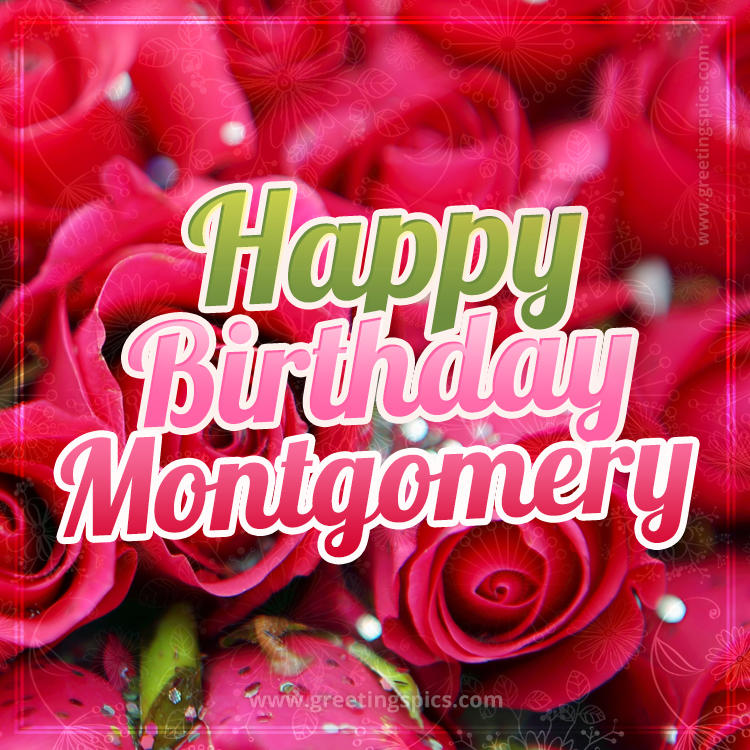 Happy Birthday Montgomery beautiful Image with red roses (square shape image)