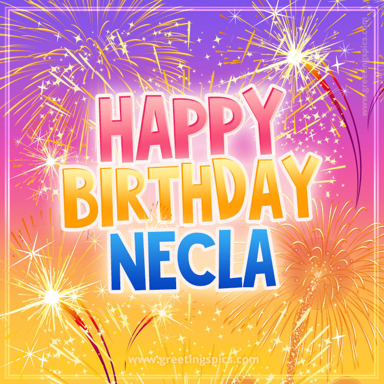 Happy Birthday Necla Picture with fireworks (square shape image)