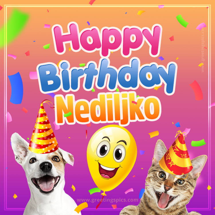 Happy Birthday Nediljko Funny Image with cat and dog (square shape image)