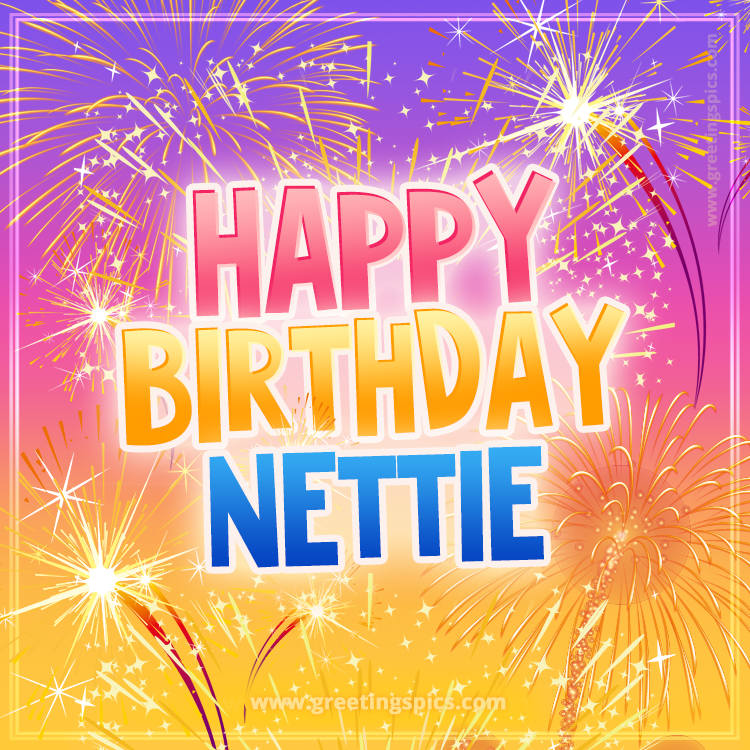 Happy Birthday Nettie Picture with fireworks (square shape image)