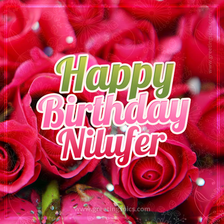 Happy Birthday Nilufer beautiful Image with red roses (square shape image)