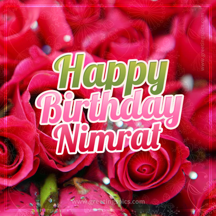 Happy Birthday Nimrat beautiful Image with red roses (square shape image)