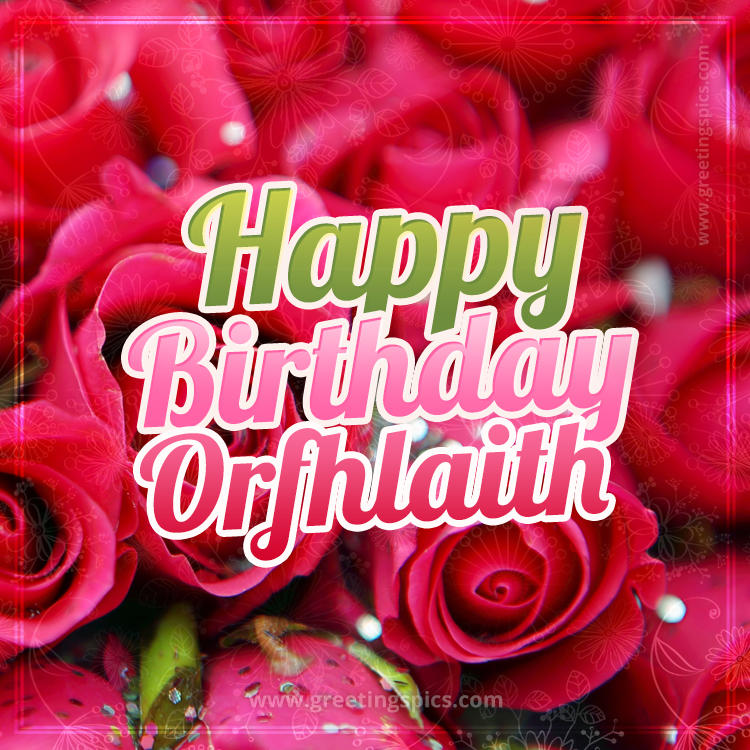 Happy Birthday Orfhlaith beautiful Image with red roses (square shape image)