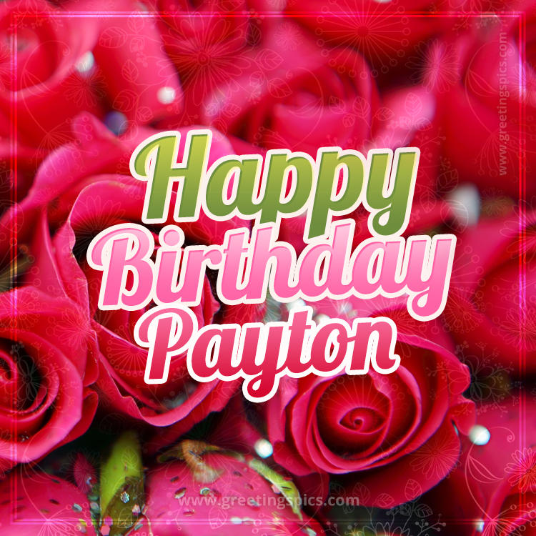 Happy Birthday Payton beautiful Image with red roses (square shape image)