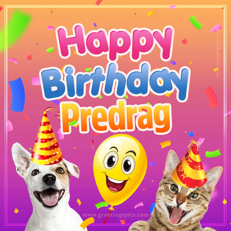 Happy Birthday Predrag Funny Image with cat and dog (square shape image)